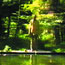 The Reflecting Pool